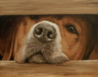 Foxhound Dog Portrait Oil Painting By Master Uk Artist John Silver Ba