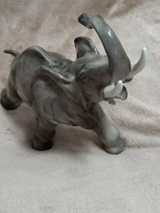 LARGE GREY AFRICAN ELEPHANT IN PORCELAIN BY WORLD FAMOUS HUTSCHENREUTHER. 3