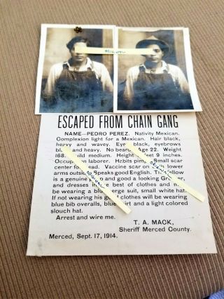 Orig Wanted Escape Chain Gang Pimp Notice Sept 1914 Photo Merced County Sheriff