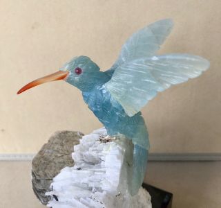 Blue Calcite Hummingbird On Mica And Albite Base 7 " - Peter Muller