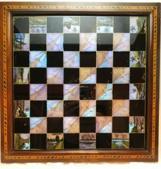 Vintage Butterfly Wing Chess Checker Inlay Wood Board Game Wall Art Work Picture