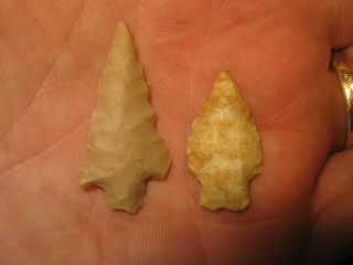 2 Authentic Texas Bird Point Arrowheads,  Prehistoric American Indian Artifacts