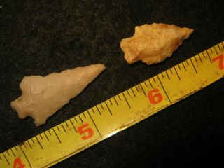 2 Authentic Texas Bird Point Arrowheads,  Prehistoric American Indian Artifacts 2