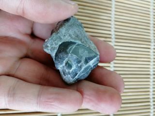 Rare Liomegalaspides Sp.  Trilobite Fossil,  Ordovician,  Hubei,  China L76