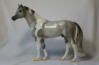 Breyer Beau Collector Club Special 2019 Glossy Loose Mane/tail On Idocus