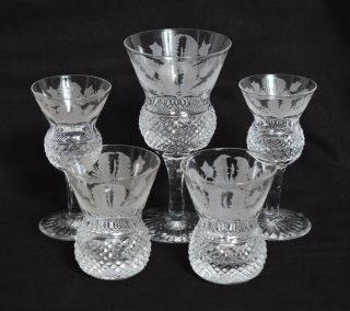 Fine Group Vintage Edinburgh Crystal Glass Thistle Pattern Wine Shot Glasses