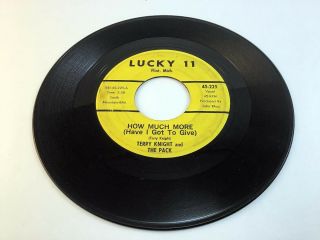 How Much More (have I Got To Give) Terry Knight & The Pack 1965