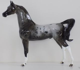 Peter Stone Horse - For Jill