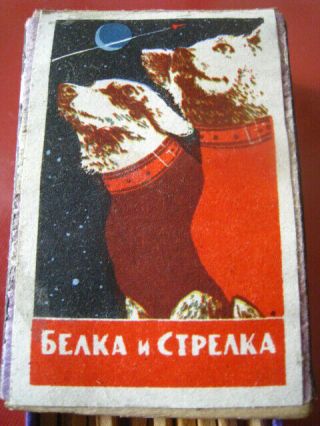 Vtg Big Old Soviet Russian Matchbox Space Animals Dogs Belka & Strelka Laika 60s