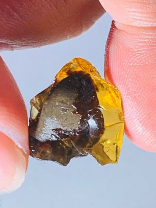 2.  42g Rock Grow In Amber Burmite Myanmar Burma Amber Insect Fossil Dinosaur Age