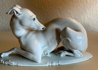 Gracefully Posing Greyhound Dog - Porcelain,  By Rosenthal (bavaria)