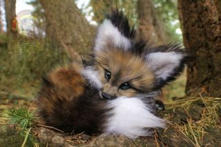 100 Handmade Woodsplitter Lee Cross Fully Poseable Life Sized Baby Fox