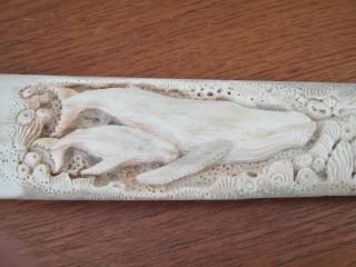 Large 31 " Hand Carved Real Bone Scrimshaw Swordfish Bill Whales Octopus & Seals