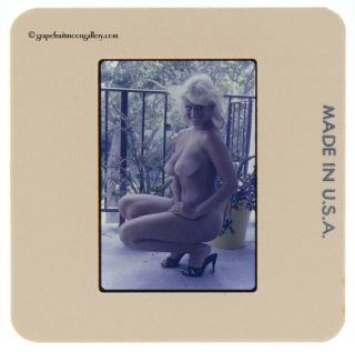 Bunny Yeager Estate Color Slide Transparency 1970s Nude Blonde Pin - Up in Heels 2