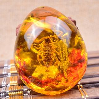 1pc Fashion Insect Stone Scorpions Inclusion Amber Baltic Pendant Necklace Giftt