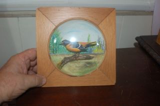 Vintage Arthur Peltier Wood Carving 7x7 In.  Diorama Male Baltimore Oriole