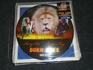 Born Limited Numbered 12 " Picture Disc Single - Brian May Queen