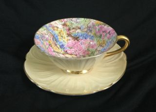Vintage Shelley Oleander Rock Garden Chintz Tea Cup & Saucer England 13415 Gold