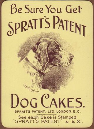 Playing Cards 1 Single Card Old Wide Spratt’s Dog Cakes Advertising Art Pointer