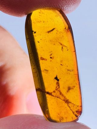 2.  06g Unknown Item Burmite Myanmar Burmese Amber Insect Fossil From Dinosaur Age