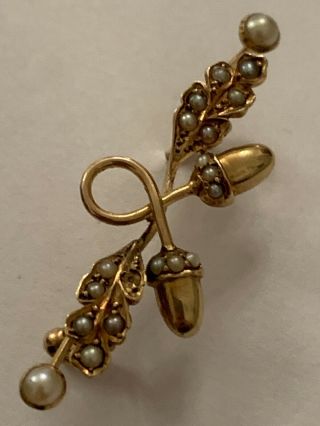 Charming Victorian 15ct Gold & Seed Pearl Set Acorns Brooch