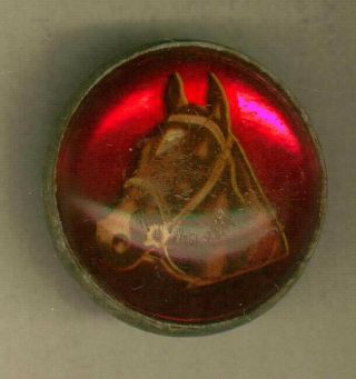 Horse Head On Red Under Glass Bridle Rosette By: H.  A.  Chapman