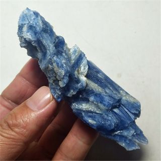 98.  8g Blue Crystal Natural Kyanite Rough Gem Stone Mineral Specimen 19111806
