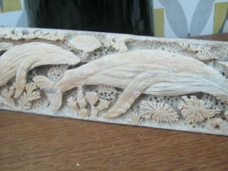 Large 30 " Hand Carved Real Bone Scrimshaw Swordfish Bill Whales & Marine Scenes