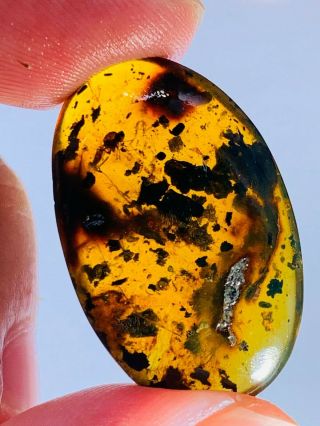 2.  33g Unknown Fly&muds Burmite Myanmar Burmese Amber Insect Fossil Dinosaur Age