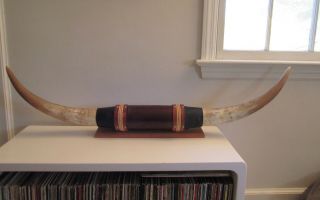 Vintage Mounted Steer Horns Cow Bull Longhorns Wall Mount Bar 46 " Leather
