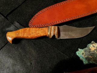 9 1/4 " Damascus Knife With Custom Handle Of Chittum Burl - By Lee