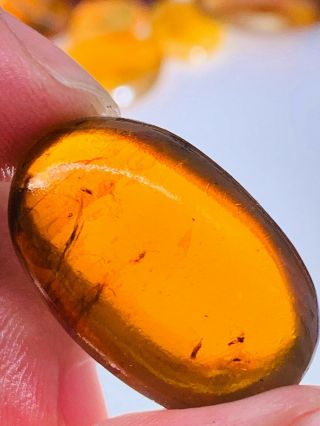 2.  75g Wasp&mosquito Fly Burmite Myanmar Burmese Amber Insect Fossil Dinosaur Age