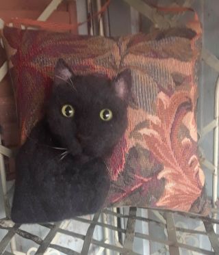 3d Black Cat On Vintage Tapestry Cupboard Pillow Fab.  Art By Renate 
