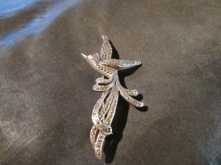 Vintage Solid Silver,  Marcasite Bird Of Paradise Brooch,  S&co