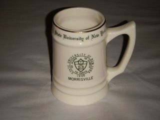 Vintage State University Of York Morrisville 1948 Mug Stein 6 " Ceramic Green