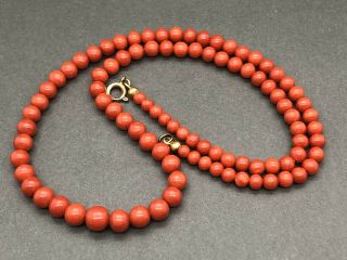 Stunning Antique Natural Deep Red Coral Bead Necklace C1890 - 18.  9g