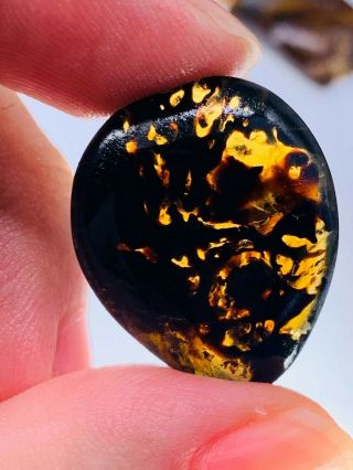 2.  57g Unknown Items Burmite Myanmar Burmese Amber Insect Fossil Dinosaur Age
