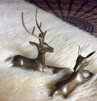 Set Of 2 Brass Deer Raindeer Buck And Doe Perfect For Christmas Or Winter Decor