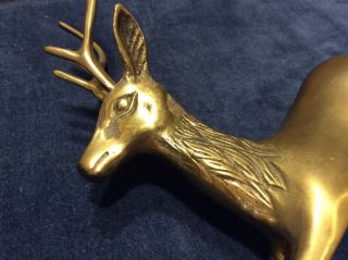 Set of 2 Brass Deer Raindeer Buck and Doe Perfect for Christmas or Winter Decor 2