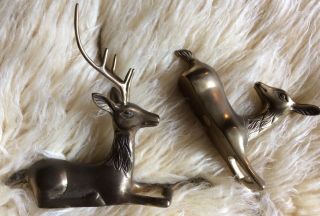 Set of 2 Brass Deer Raindeer Buck and Doe Perfect for Christmas or Winter Decor 3