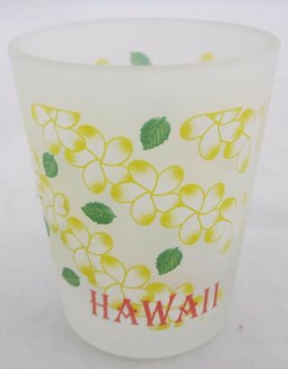 Hawaii Frosted 1.  5 Oz Shot Glass Collectible