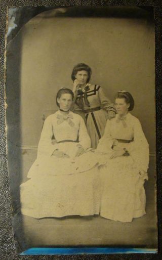 Antique Tintype Three Southern Belle Ladies In Fancy Dresses,  Macon,  Ga.