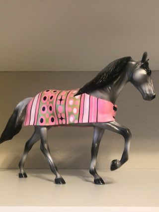 peter stone TWH tennessee walker “spots and stripes” LSQ 3