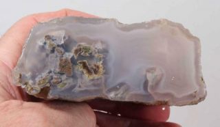 Oregon Fossil Limb Cast Specimen 13.  6 Oz Rough
