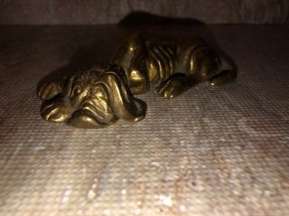 Vintage Brass Hunting / Hound Dog Figurine,  Laying Down