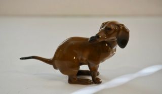 Rosenthal Pooping Dachshund Dog Figurine Classic Rose
