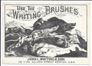 Vg Illust (boar Attacked By Dogs) On C1870s Trade Card,  Whiting (paint) Brushes