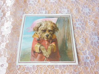 Victorian Year Card/de La Rue/anthropomorphic Dog With Pipe/no.  116