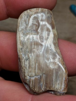 BG - - Wyoming Petrified Wood polished specimen 12 grams 3