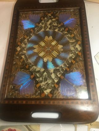 18”/11.  5” Made In Brazil Antique Butterfly Wings Inlaid Wood Tray